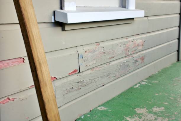Best Custom Trim and Detailing for Siding  in Point Pleasant Beach, NJ